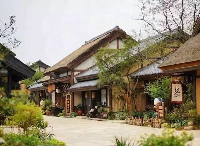 玛雅吧(中国区)官方网站