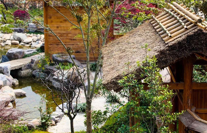 玛雅吧(中国区)官方网站