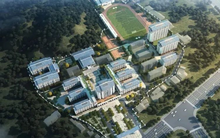 ���Ű�(�й���)�ٷ���վ