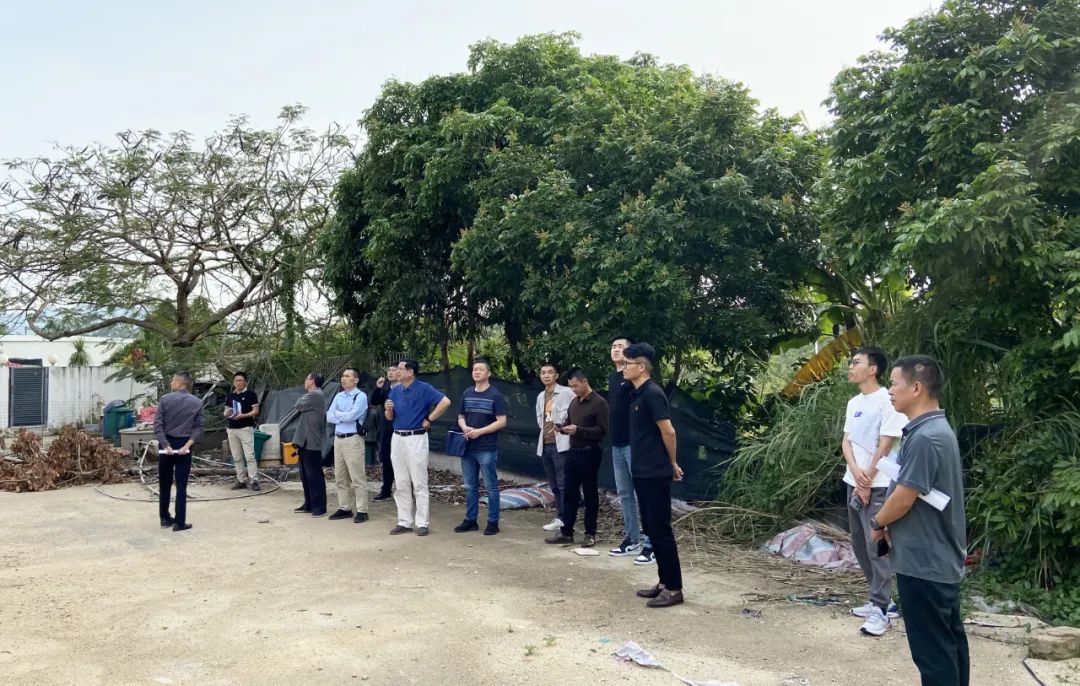 ���Ű�(�й���)�ٷ���վ